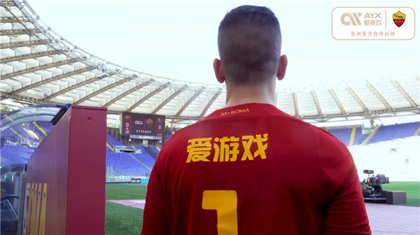 使得冰球训